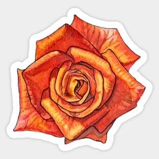 Orange Watercolor Rose Sticker